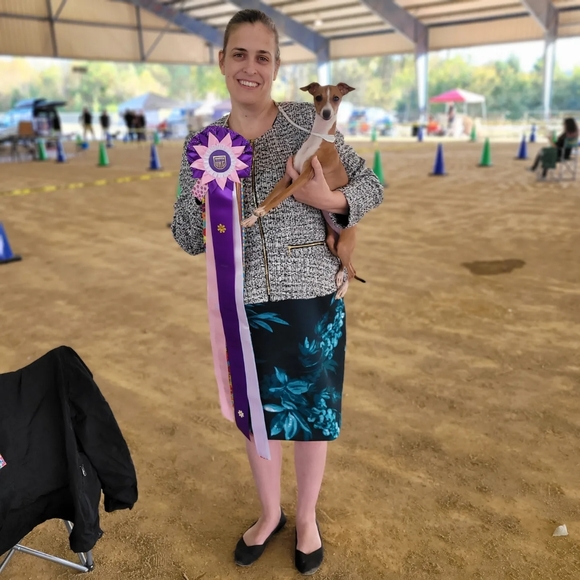 ISO dog show clothing - Picture 7 of 7